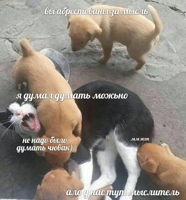 Так себе картинки 21.12.24