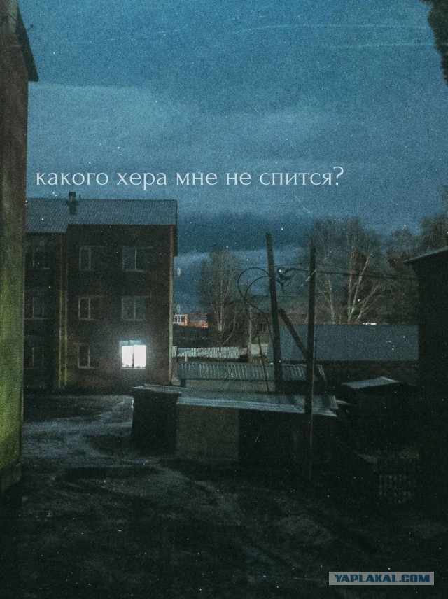 Нуштош 12.02.2025. Тлень разума (s3e6)