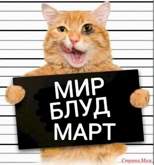 1 марта - день котов и кошек