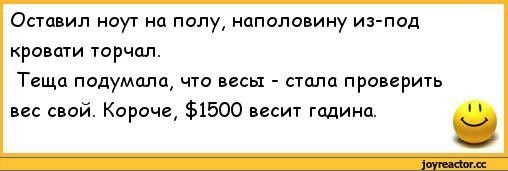 Кот прыгнул на ноутбук