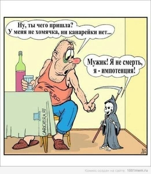Пивная Пятничная подборка