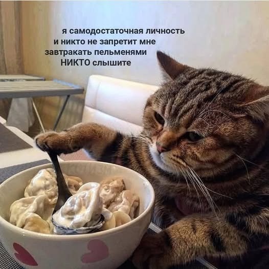 К котовторнику: подборка картинок-баянов с котиками и про котиков. Выпуск 9