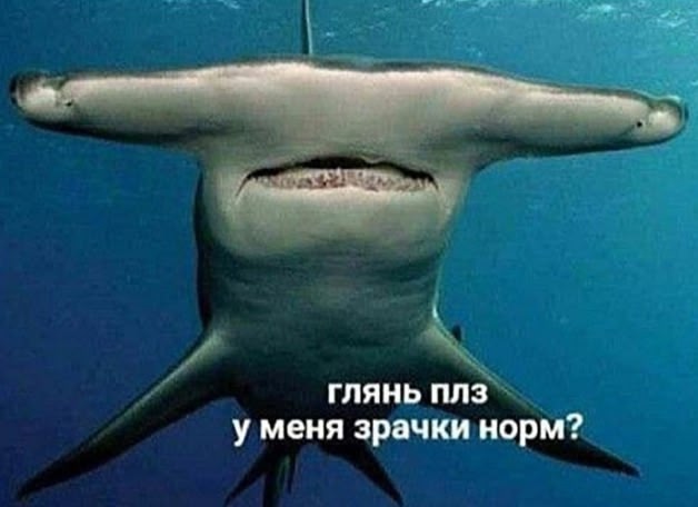 Могу себе позволить