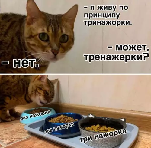 Всякая хреномуть