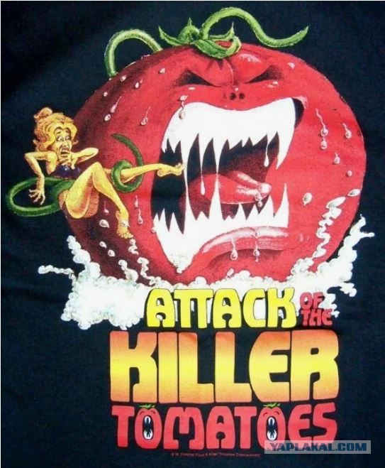 Восстание матрасов