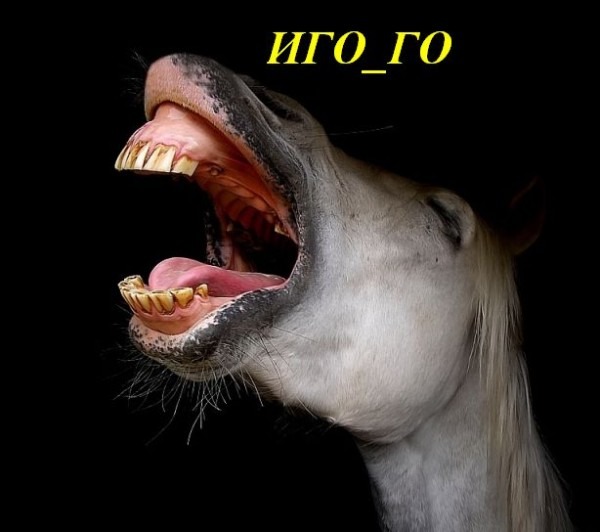 Ну, вот же, есть нормальные девчонки