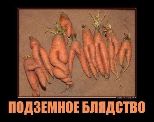 Картинки для деградации 264 (разной степени свежести)