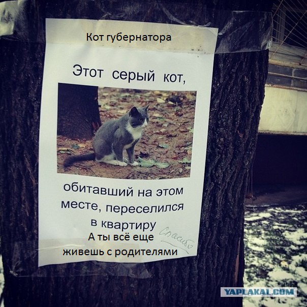 Позитив