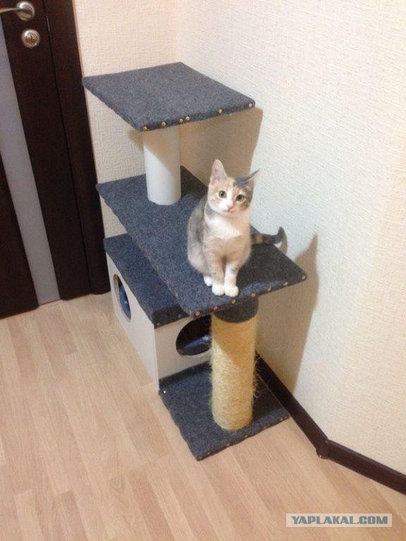 КотоПост