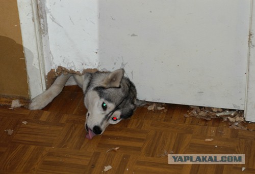 Его зовут Люк