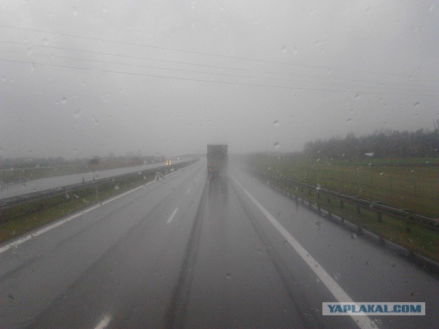 Где яблоки растут!