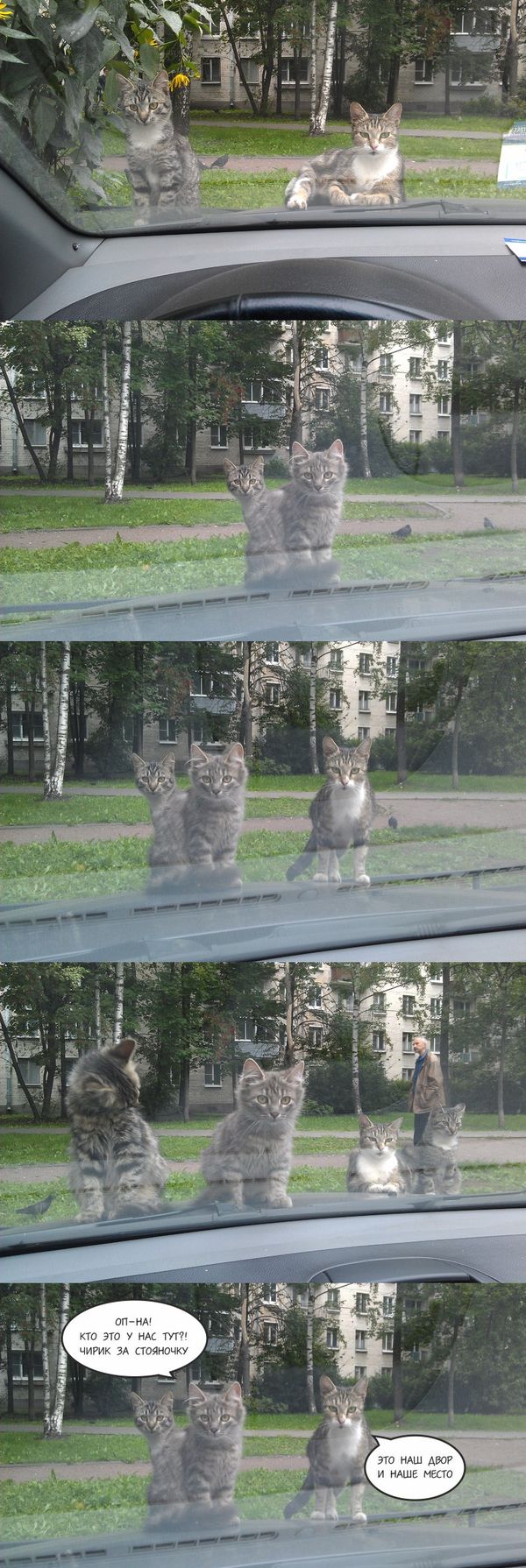 Немного позитива на пятницу