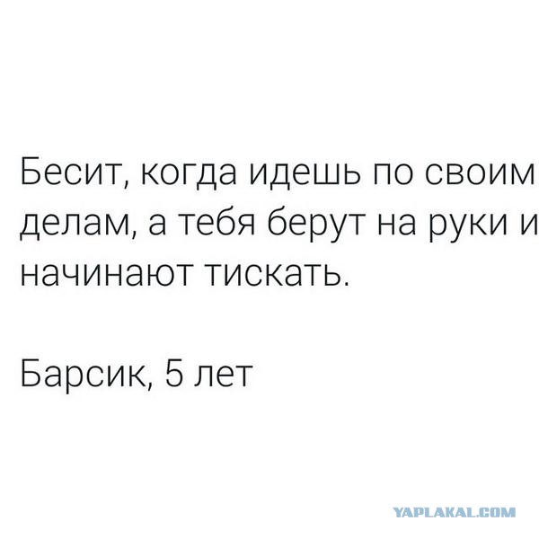 Комментарии из соцсетей, картинки
