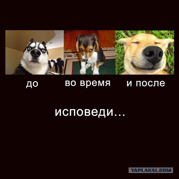 Ничего святого, просто бизнес