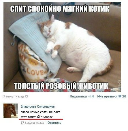 Смешные комментарии из социальных сетей