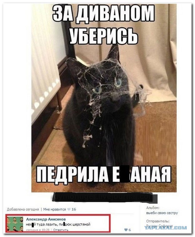 Очередные картинки и высказывания из сети