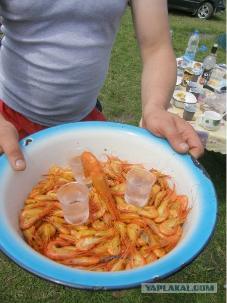 Руководство по морепродуктам