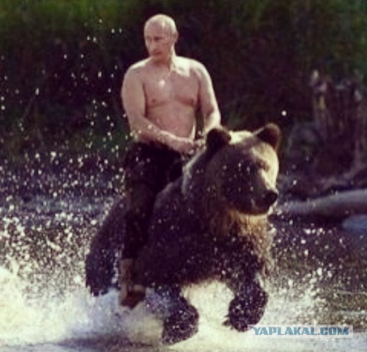 Спас тонущего медведя.