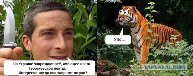 Мова пополнилась: нацюцюрник для охвостья