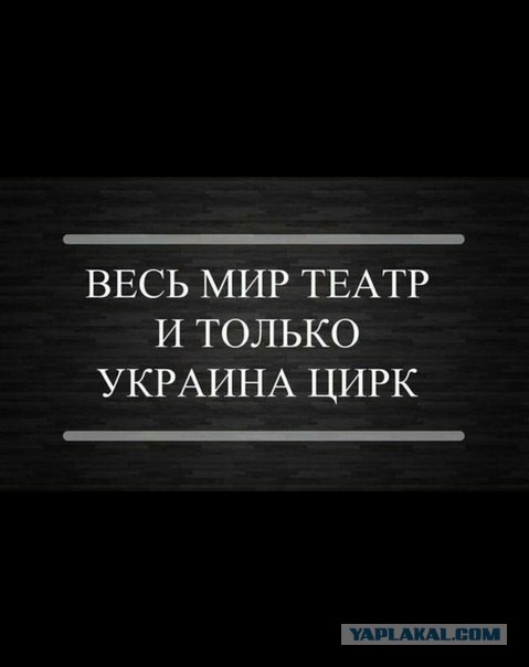 Солянка политическая #8