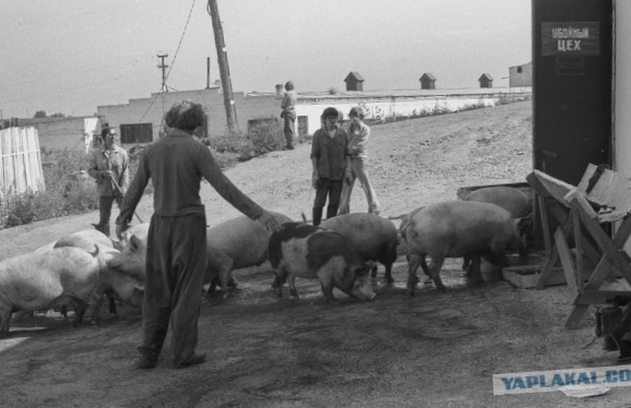 Владимир Воробьев - непарадный СССР
