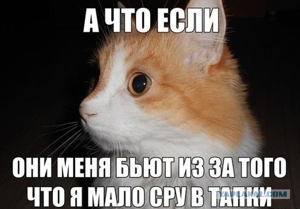 Сборная солянка