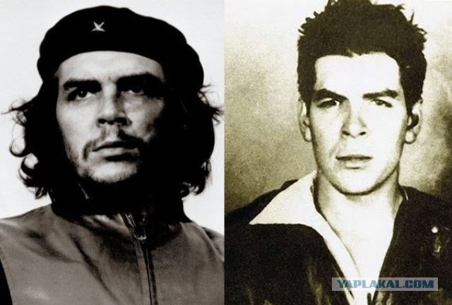Про усы