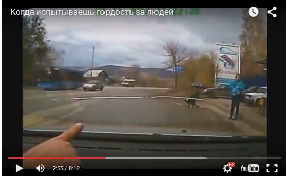 Когда испытываешь гордость за людей