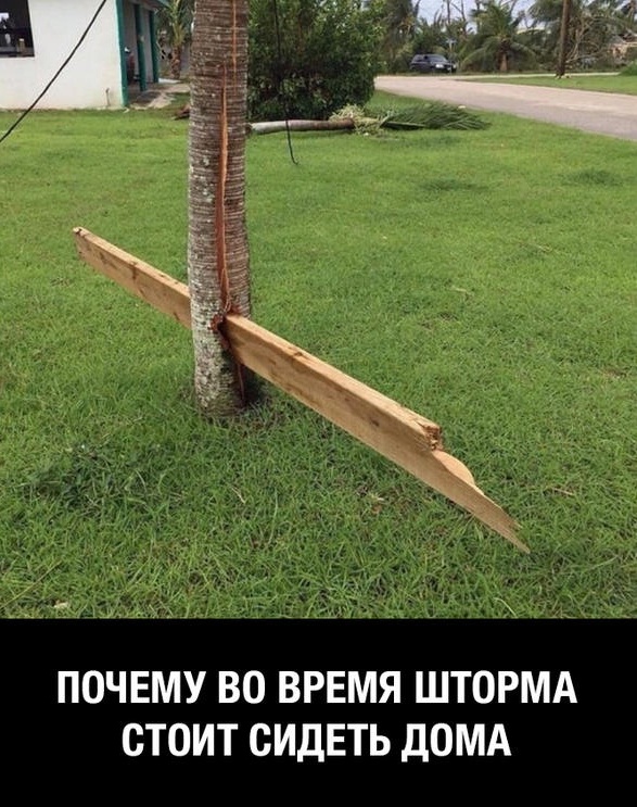Сборник "баянов" со всего Интернета - 2