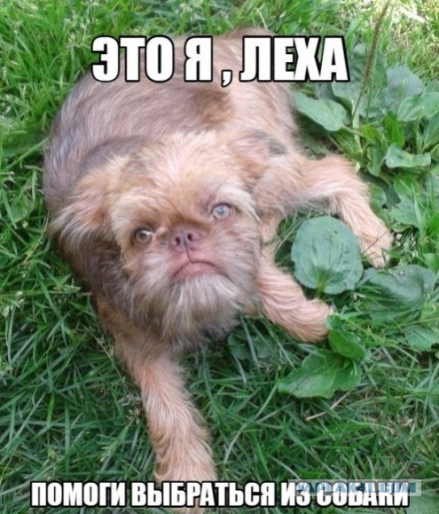 Наркоманский юмор