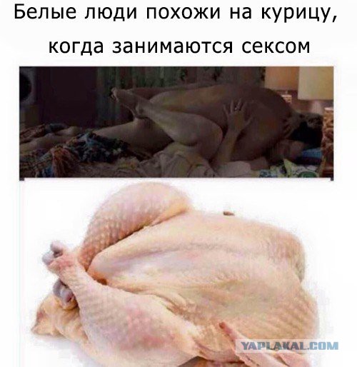 Картинки с подписями...