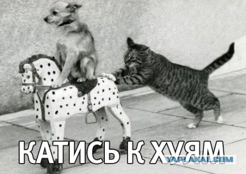 Знаете, почему мы так бедно живем?