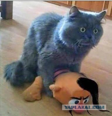 Украина ввела мораторий