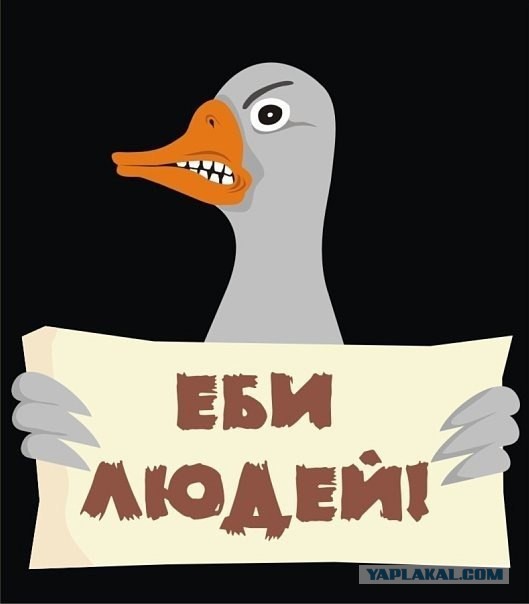 Соцсети на страже закона