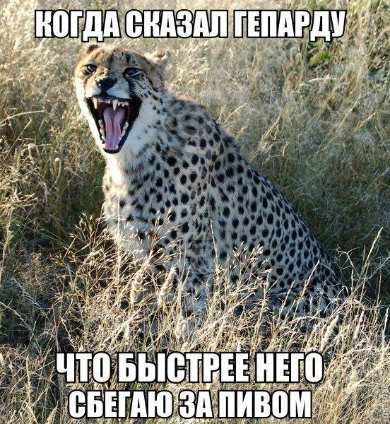 А давайте улыбнёмся В Новом Году