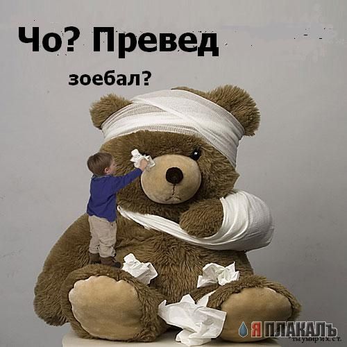 Превед медвед!