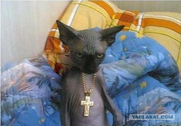 Вот это месть!