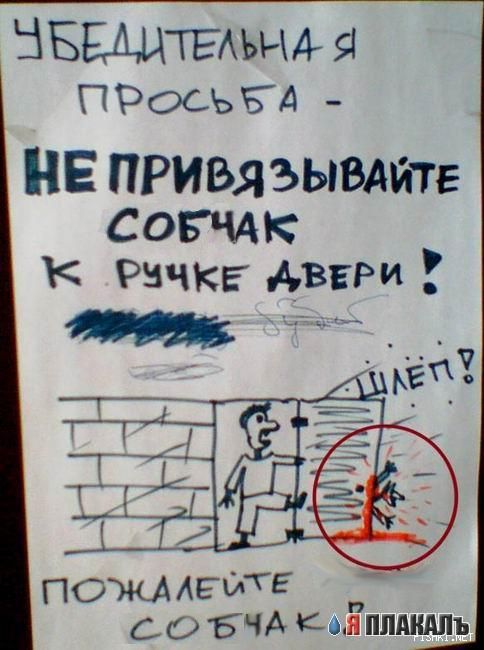 ОБЪЯВЛЕНИЯ. На стенах, в газетах, афиши.