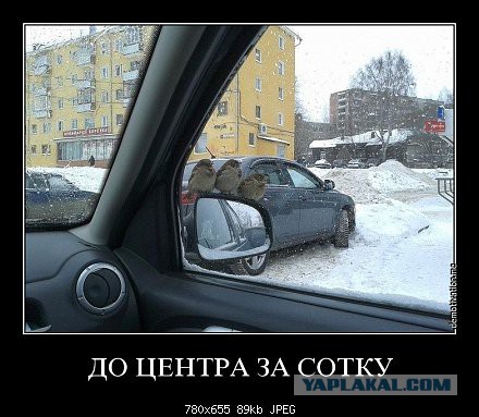Демотиваторы на пятницу!