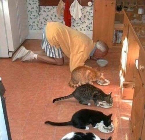 Подборка идиотских фотографий часть 3