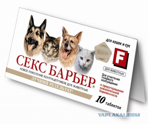 Ай-нэ-нэ + ТП = 2 в 1