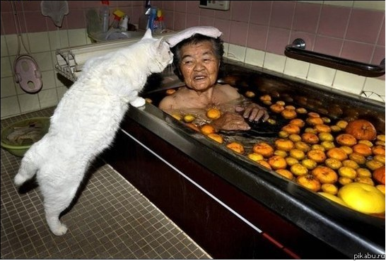 WTF: Что тут происходит?