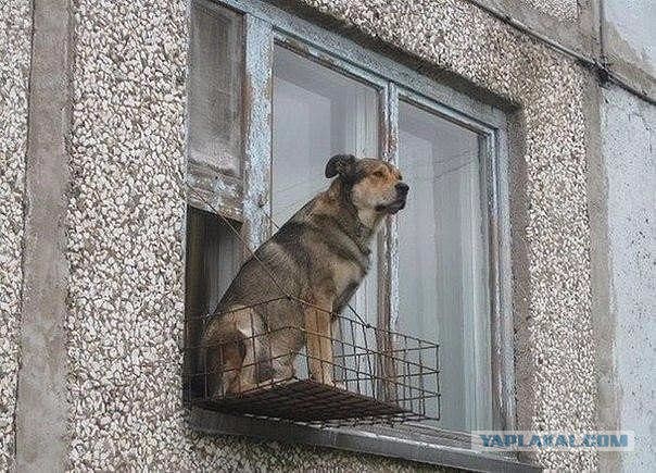 Улыбнемся?