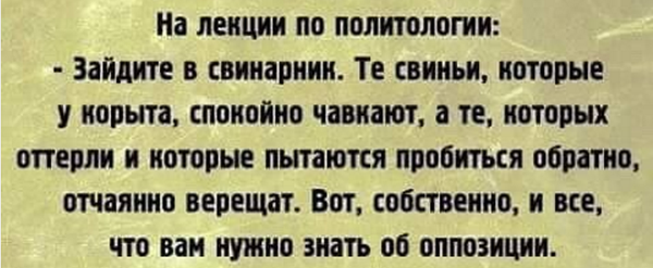 Это все что нужно знать о системной оппозиции в России