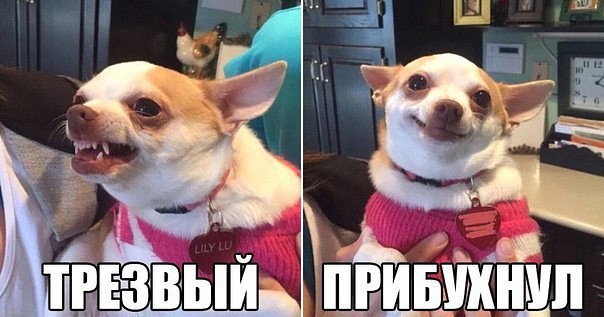 Всякое разное из интернета