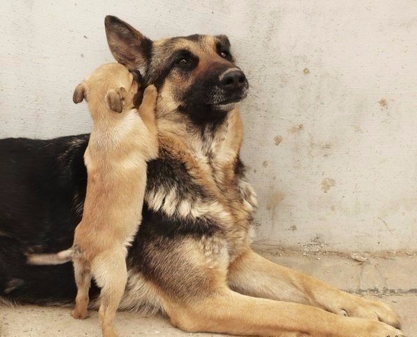 Винегрет фоток на пятницу...
