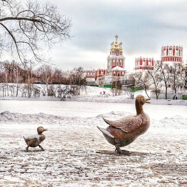 Моменты, запечатлённые на фото и просто позитив 5