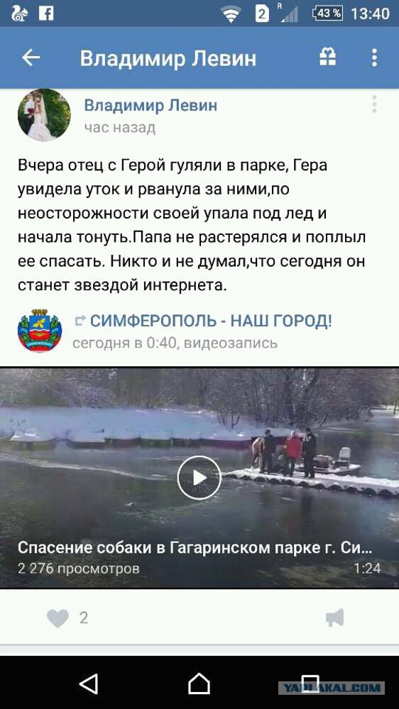 Спасение собаки, Симферополь