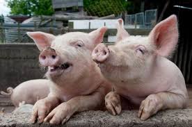 Фото - огонь!