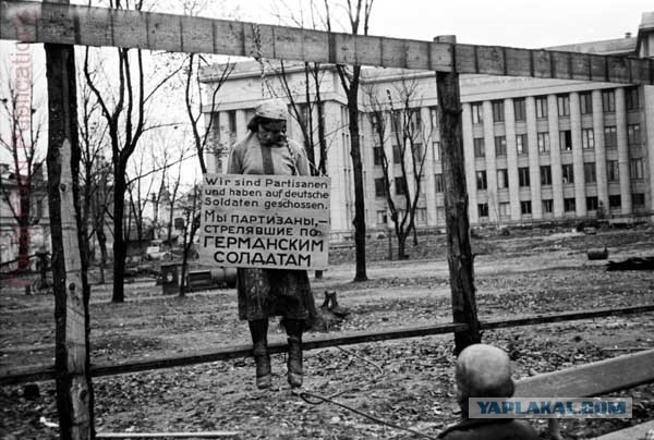 Партизанки и подпольщицы